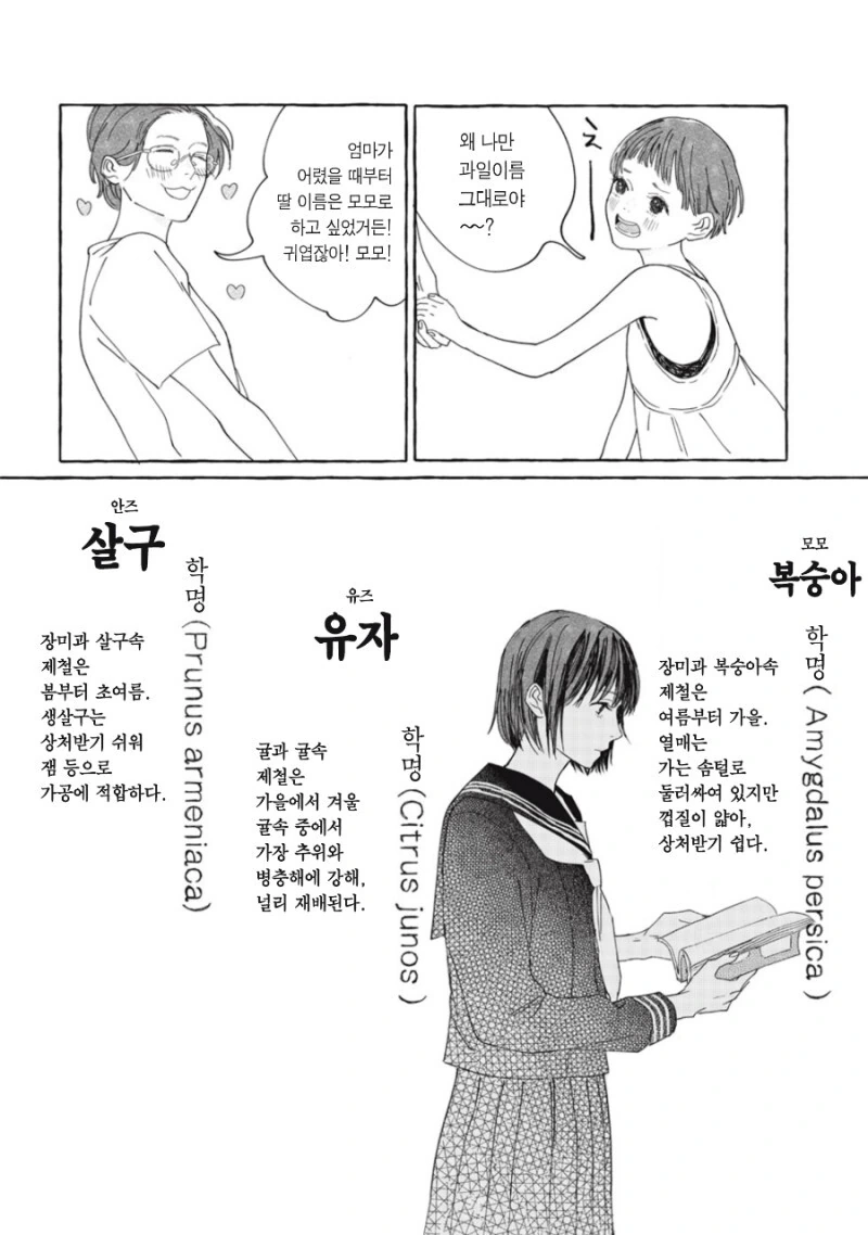이별의 과일 만화 - 이미지 17