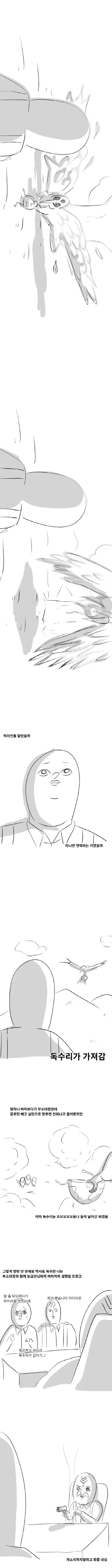 미필은노하이) 독수리가 하이바 갖고 튀는.manhwa - 이미지 3