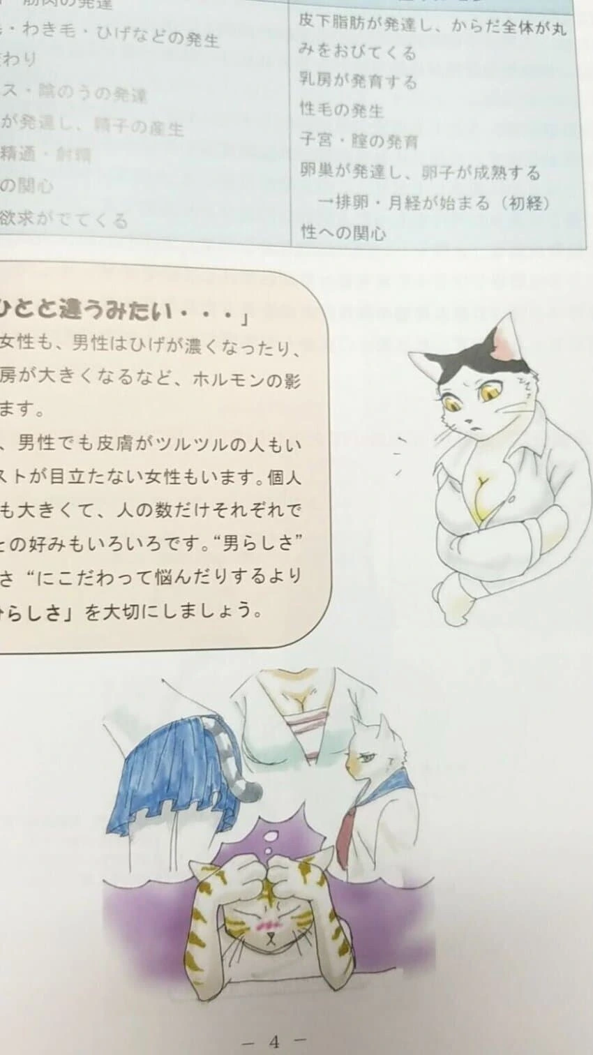 일본의 성교육 교과서 삽화 수준. manga