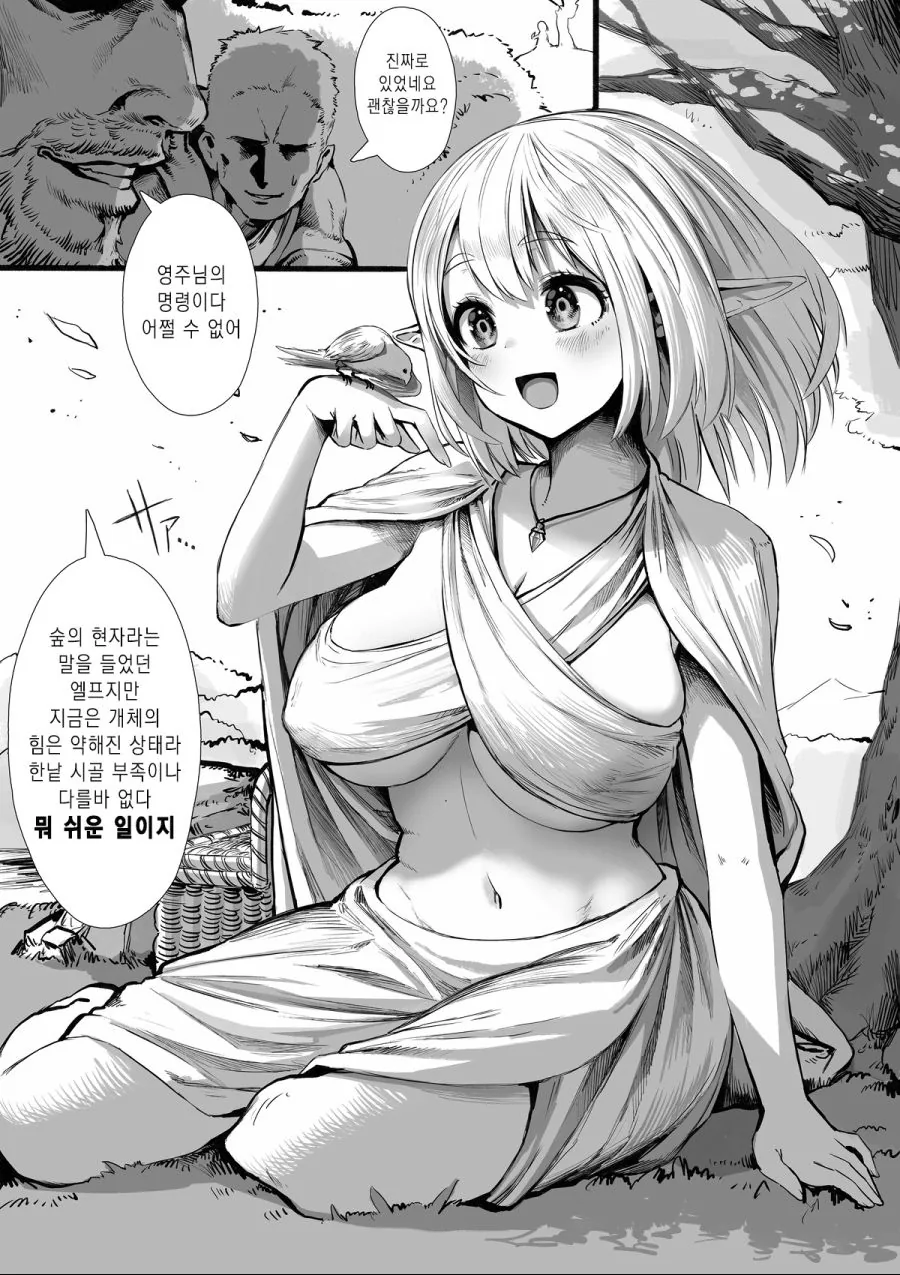 앨프ㄴㅇ 만화에서 피폐해지기 전 엘프의 모습