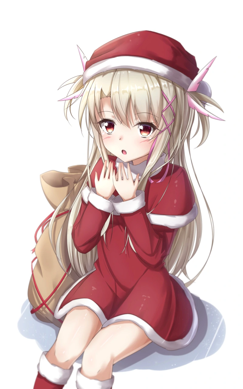fgo) 산타 이리ㅇㅉ.manga - 이미지 2