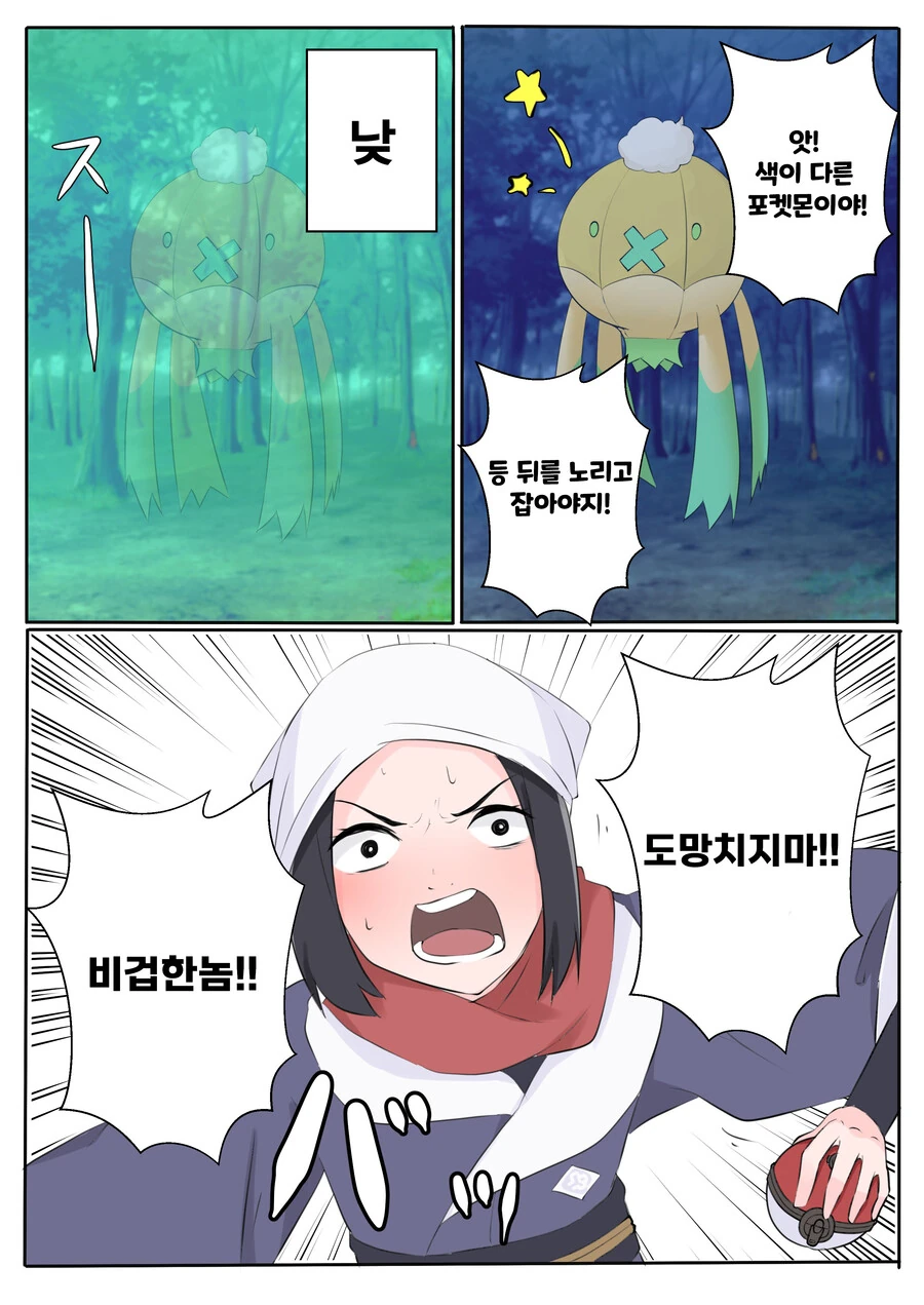 포켓몬)아르세우스에서 이로치를 마주친 만화