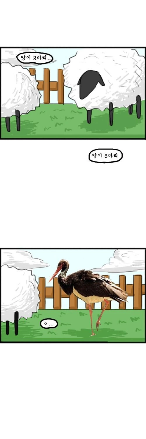 원피스)조석작가가 원피스를 그렸다면 - 이미지 4
