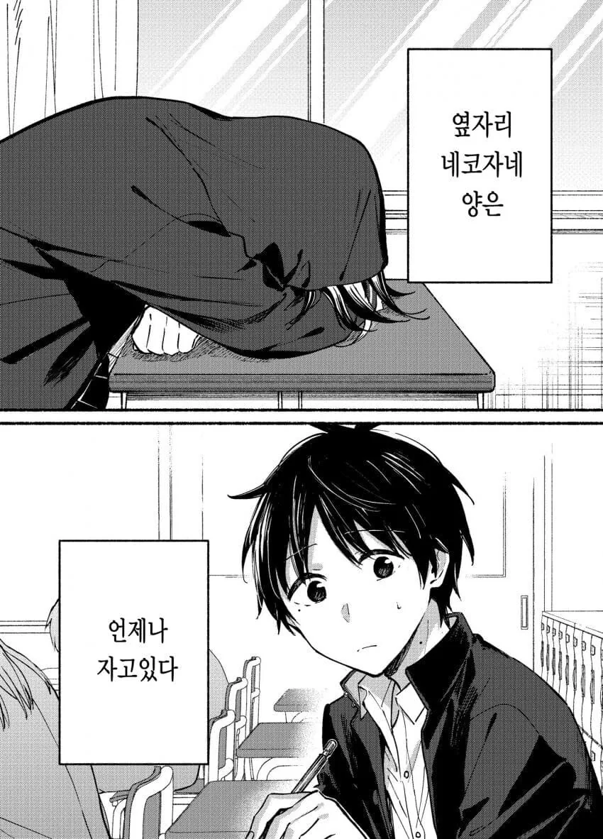 고양이녀 순애 만화