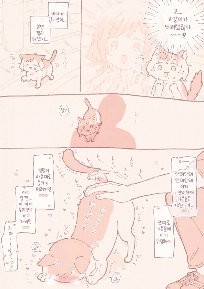 고양이가 되어버렸다.manhwa