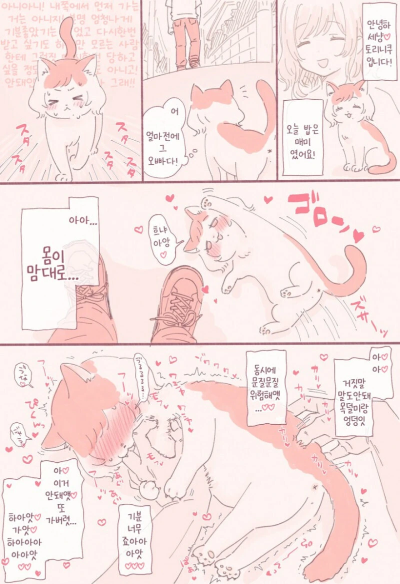 고양이가 되어버렸다.manhwa - 이미지 2