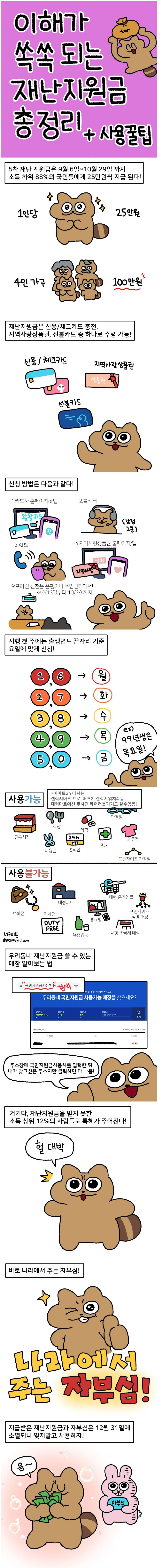 재난지원금 사용 꿀팁 만화.manwha