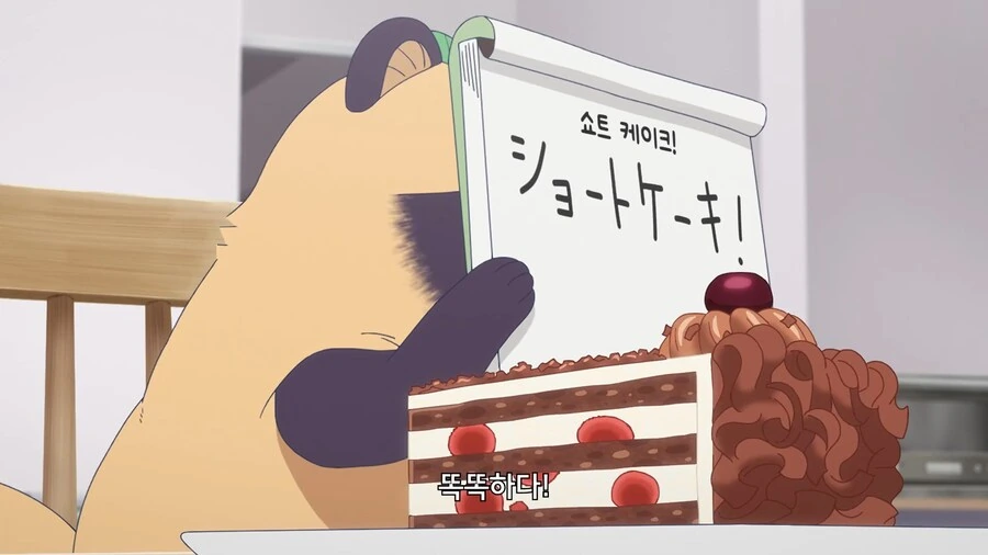비와너와]이건 뭘까요~? - 이미지 2
