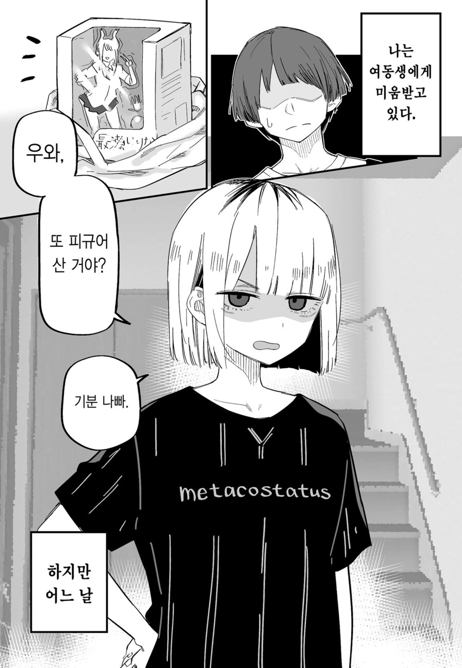 여동생에게 미움받는 오빠 만화