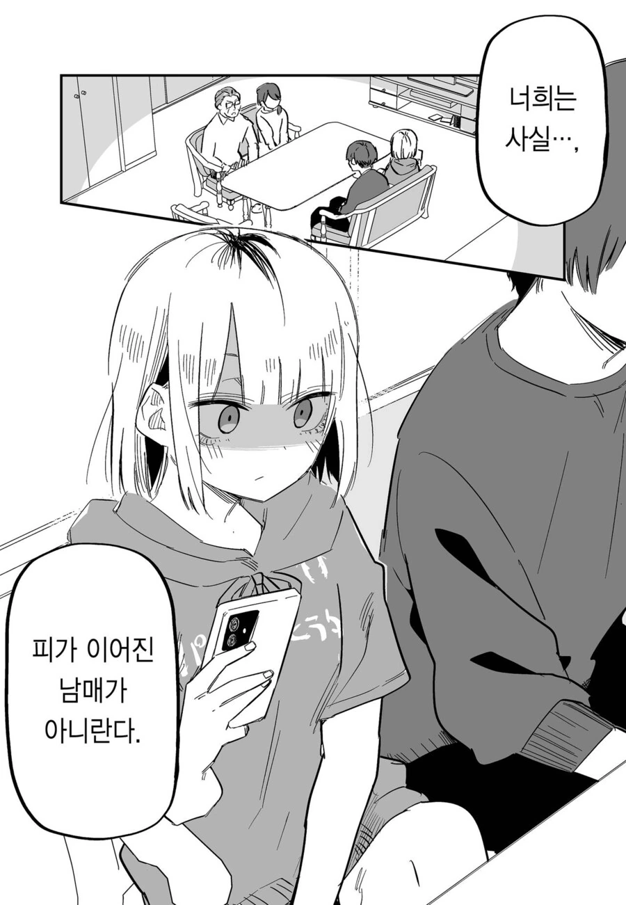 여동생에게 미움받는 오빠 만화 - 이미지 2