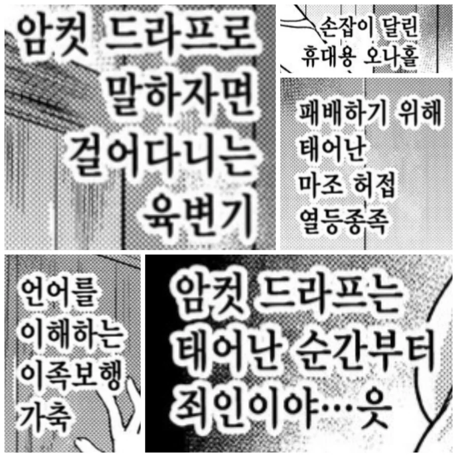 그랑블로)어떤 만화 작가의 ㅇㅋ 드라프 설정.manga - 이미지 2