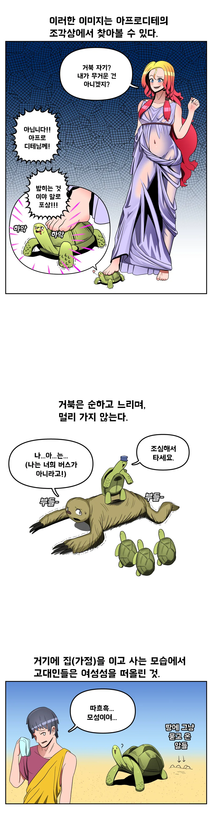 거북이는 여성스러움의 상징이었다?.Manhwa - 이미지 3