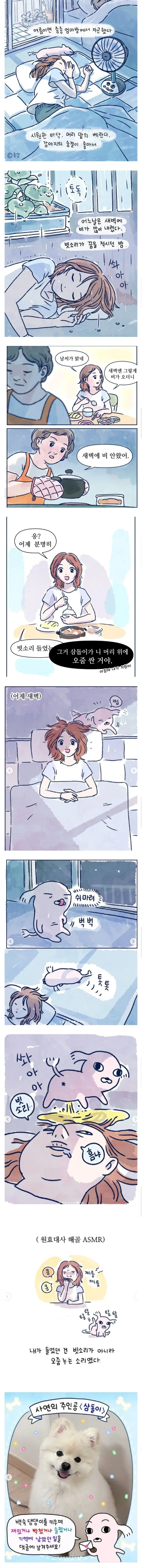 여름이면 엄마 방에서 자곤 했다.manhwa