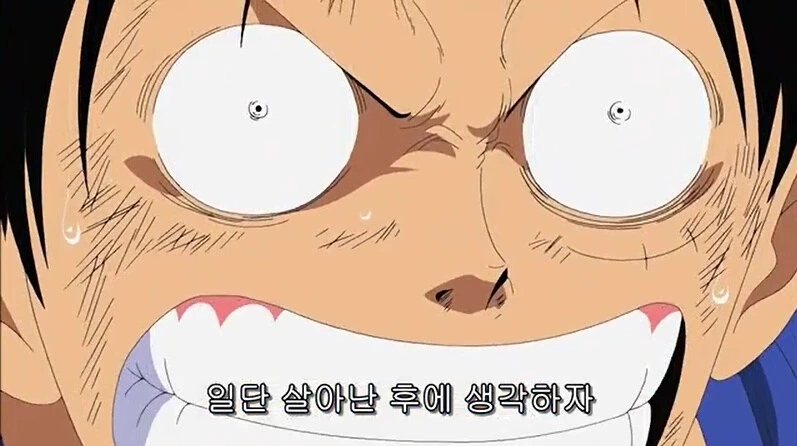 [원피스] 루피에게 최초로 공포와 두려움이라는 것을 느끼게 한 존재 - 이미지 7