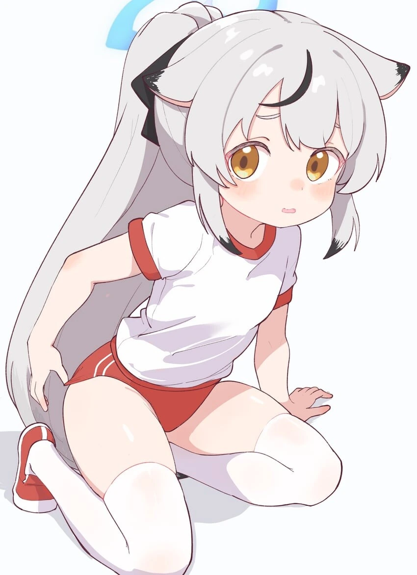 ㅎㅂ) 모닝글로리