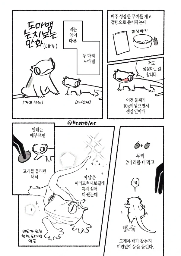 도마뱀 밥주는 만화