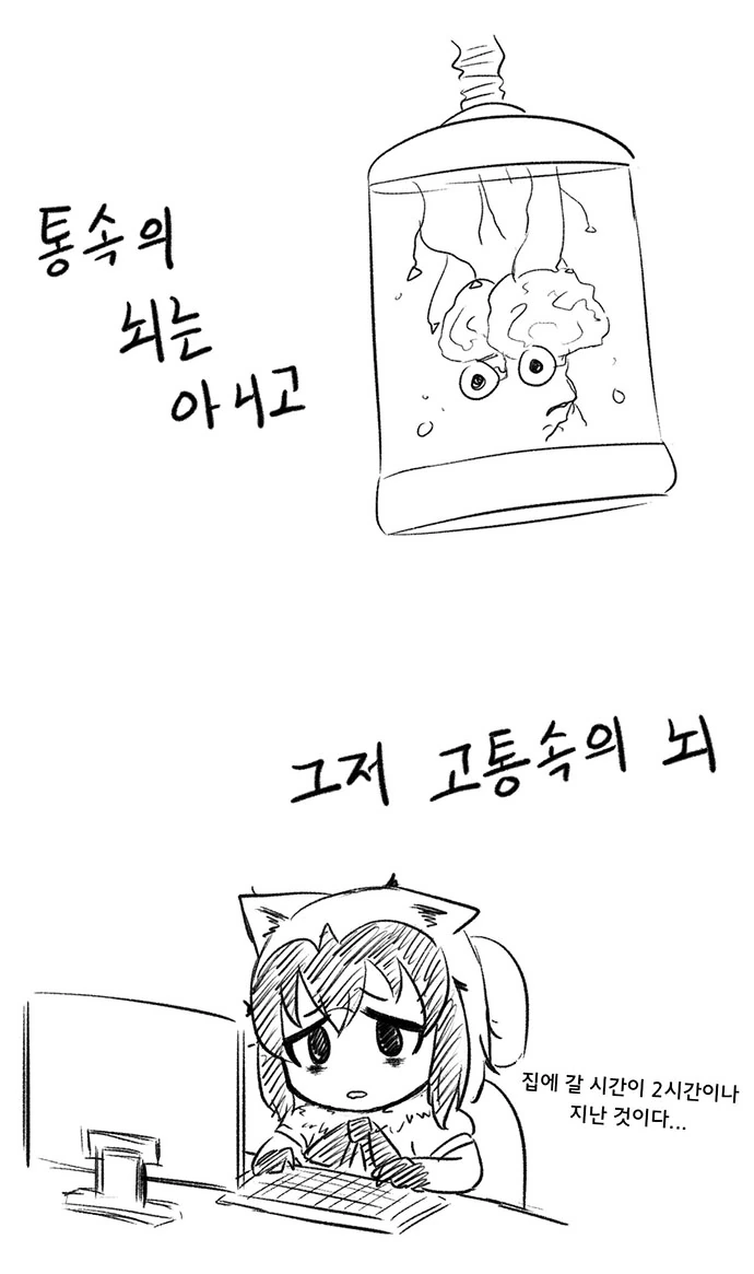 아라이상 투컷 모음... - 이미지 5