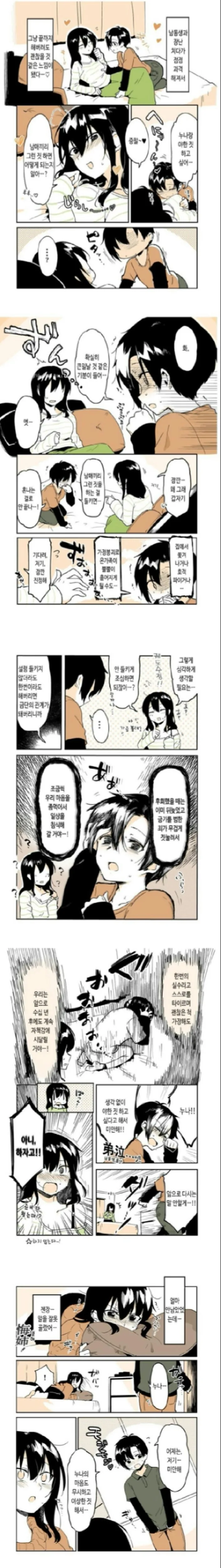 빅ㅈ 누나와 동생이 ㄱㅁ하는 만화.Manhwa