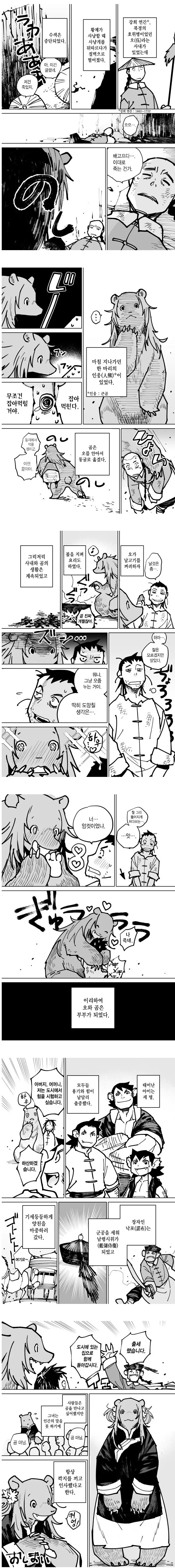 수상하게 가능한 부인 만화