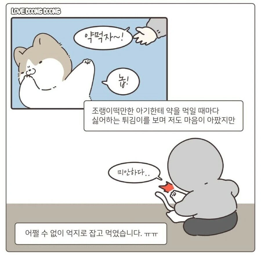 강제로 약 먹여서 화난 고양이 만화.manwha - 이미지 2