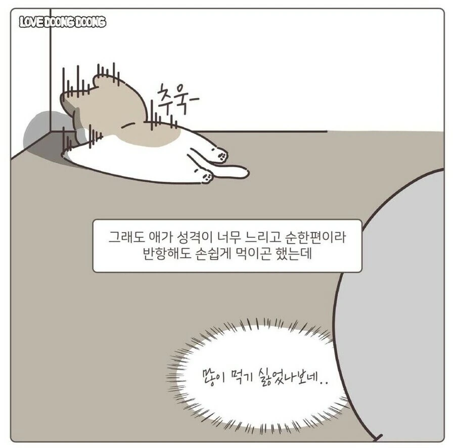 강제로 약 먹여서 화난 고양이 만화.manwha - 이미지 3
