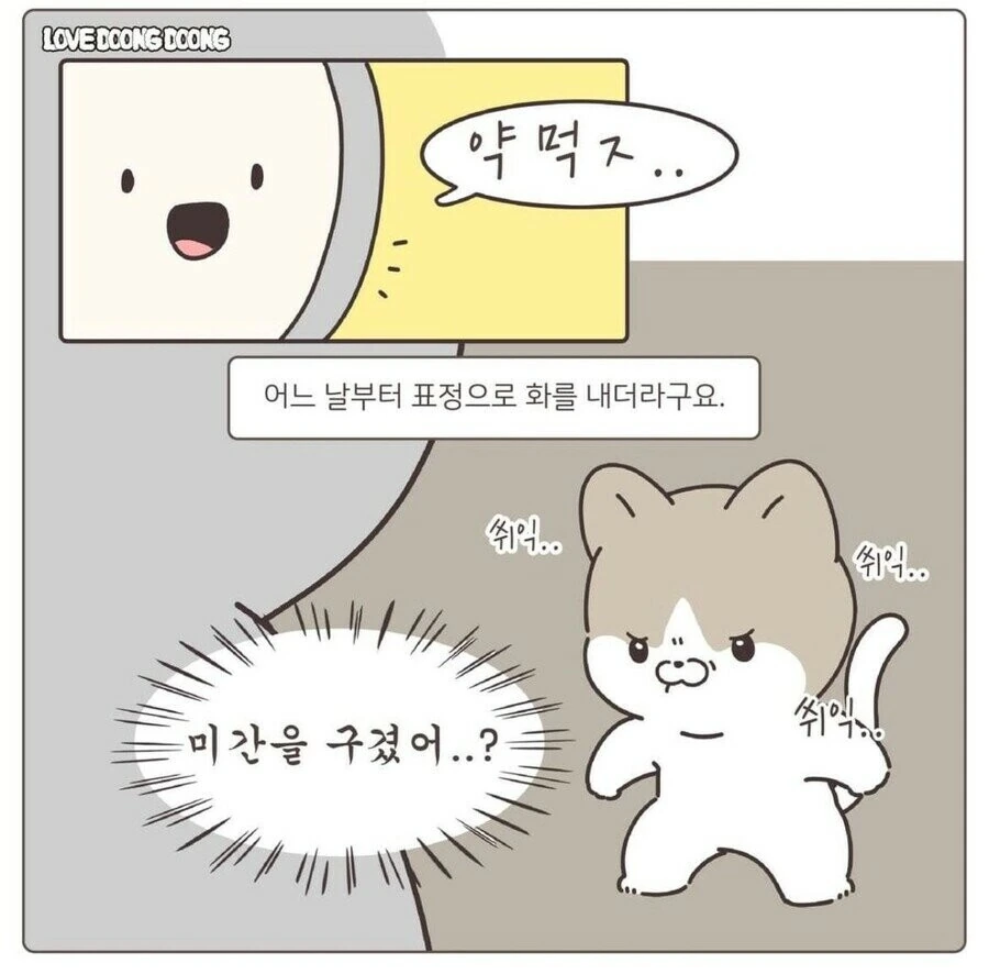 강제로 약 먹여서 화난 고양이 만화.manwha - 이미지 5