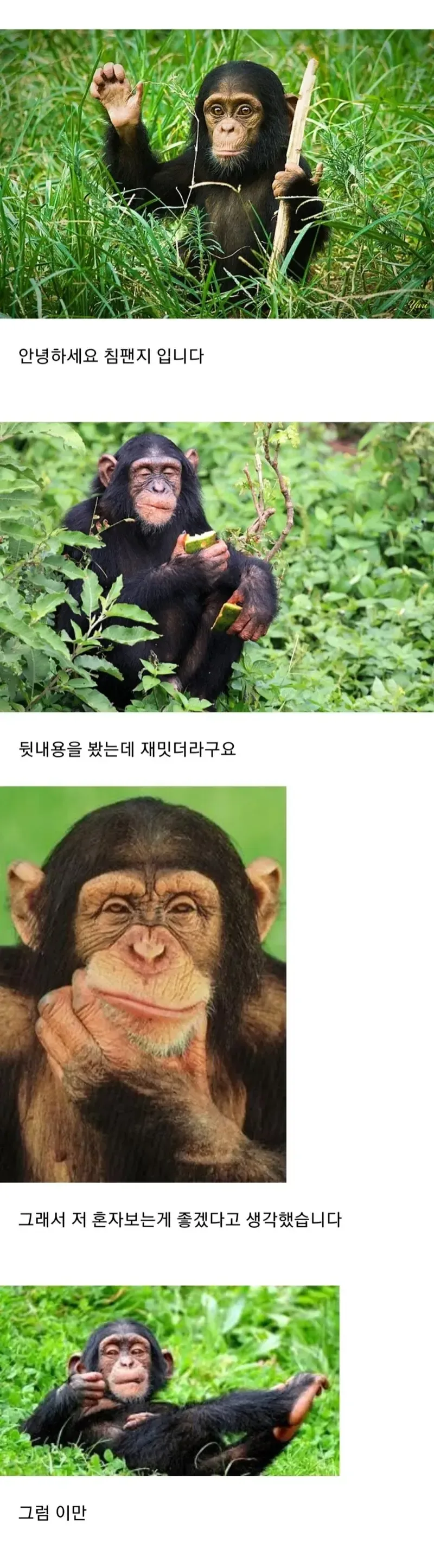 날 이지메한 일진녀를 몸으로 죄를갚게하는 만화 - 이미지 4