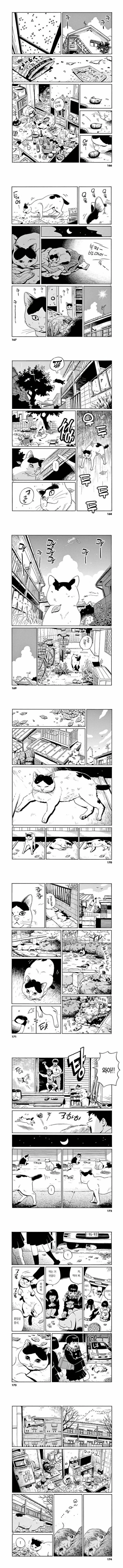 주인이 죽은 고양이 만화 JPG - 이미지 2