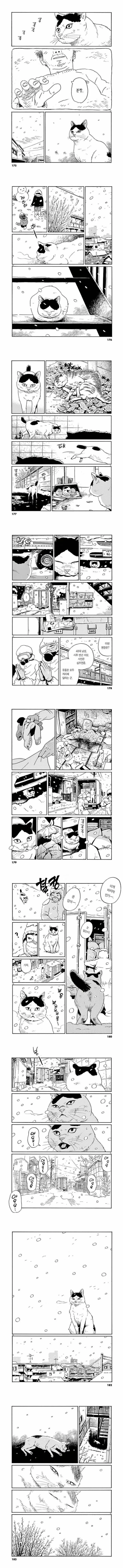 주인이 죽은 고양이 만화 JPG - 이미지 3