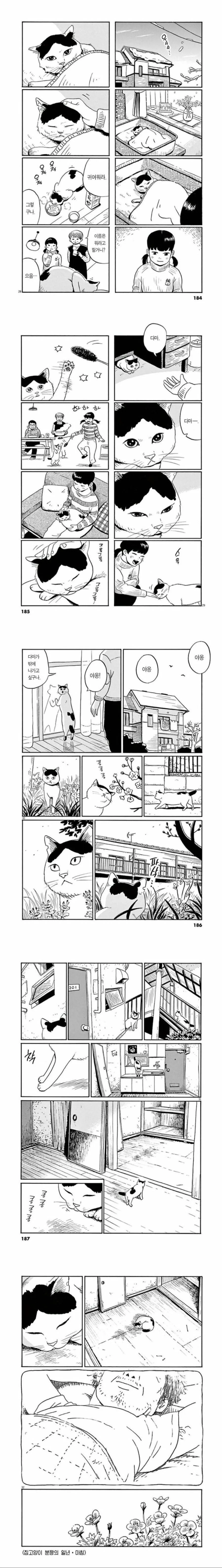 주인이 죽은 고양이 만화 JPG - 이미지 4
