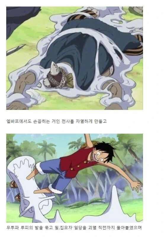 원피스) 전적만 보면 사최간에 걸맞는 인물