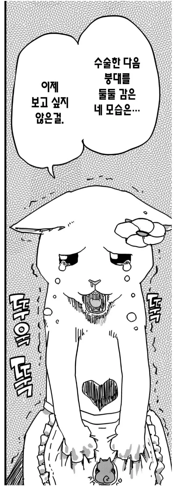 전직 아이돌 고양이의 슬픈 진실.manhwa - 이미지 4