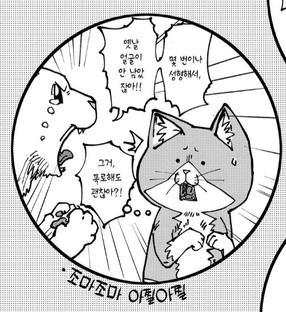 전직 아이돌 고양이의 슬픈 진실.manhwa - 이미지 5