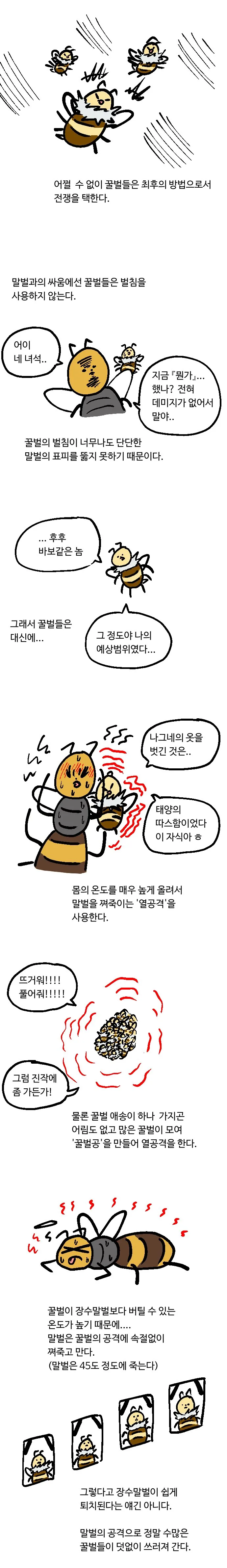 야 꿀벌.manhwa - 이미지 3