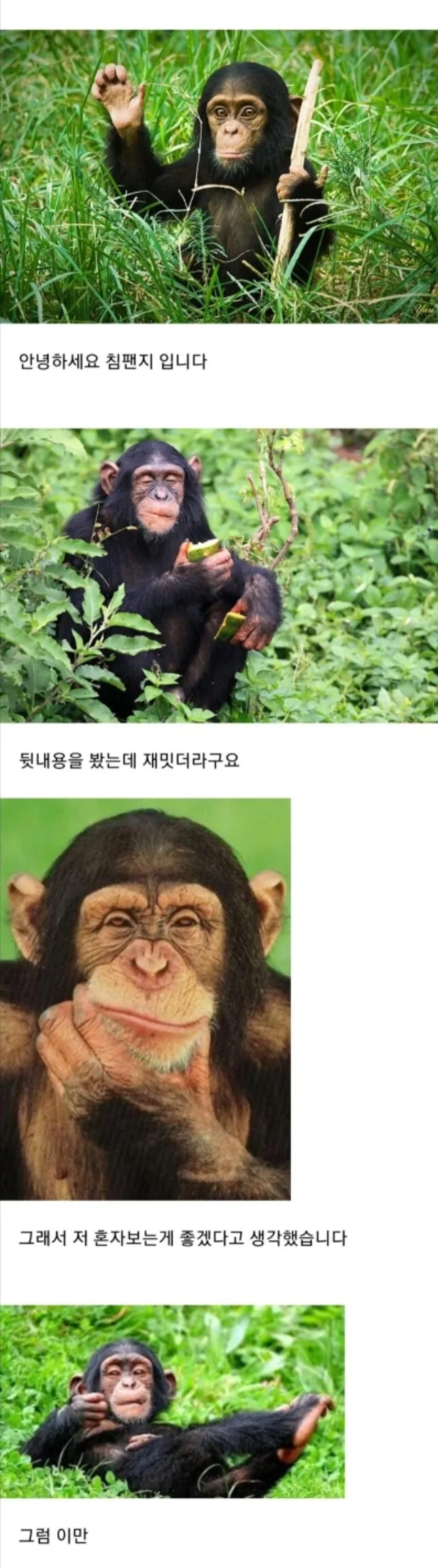 대학원생이 ㄹㄹ골렘이랑 ㅅㅅ하는.manhwa - 이미지 12