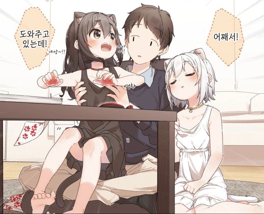 흑묘,백묘.manwha - 이미지 2