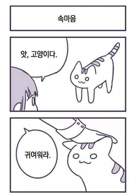 지구정복 꿈꾸는 고양이.manhwa