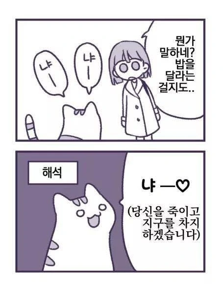 지구정복 꿈꾸는 고양이.manhwa - 이미지 2