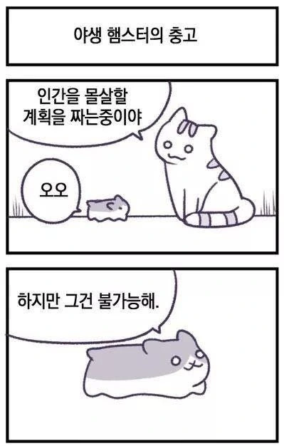 지구정복 꿈꾸는 고양이.manhwa - 이미지 3