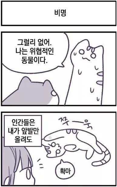 지구정복 꿈꾸는 고양이.manhwa - 이미지 5