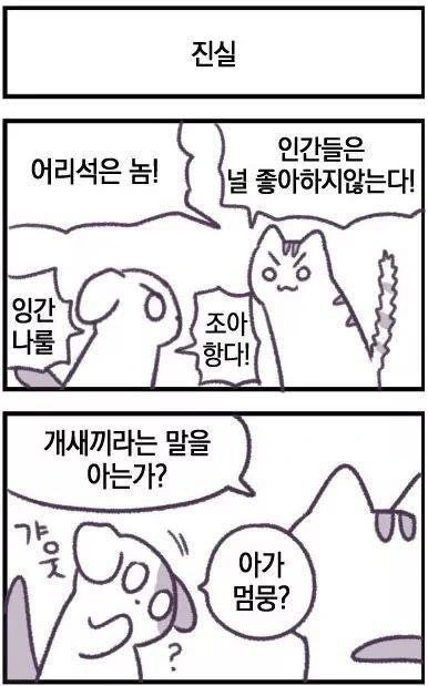 지구정복 꿈꾸는 고양이.manhwa - 이미지 7