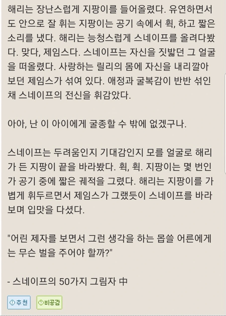 해리포터) 얀데레 해리에게 스토킹당하는 스네이프 만화 - 이미지 2