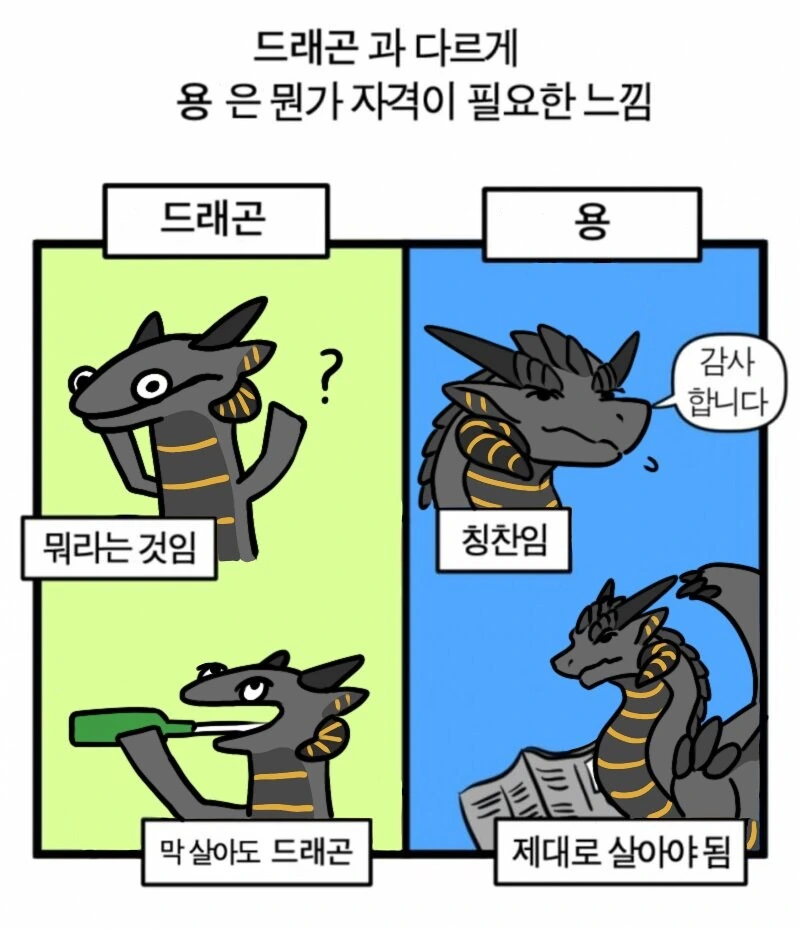 드래곤과 용은 차별 둬야하는.manwha