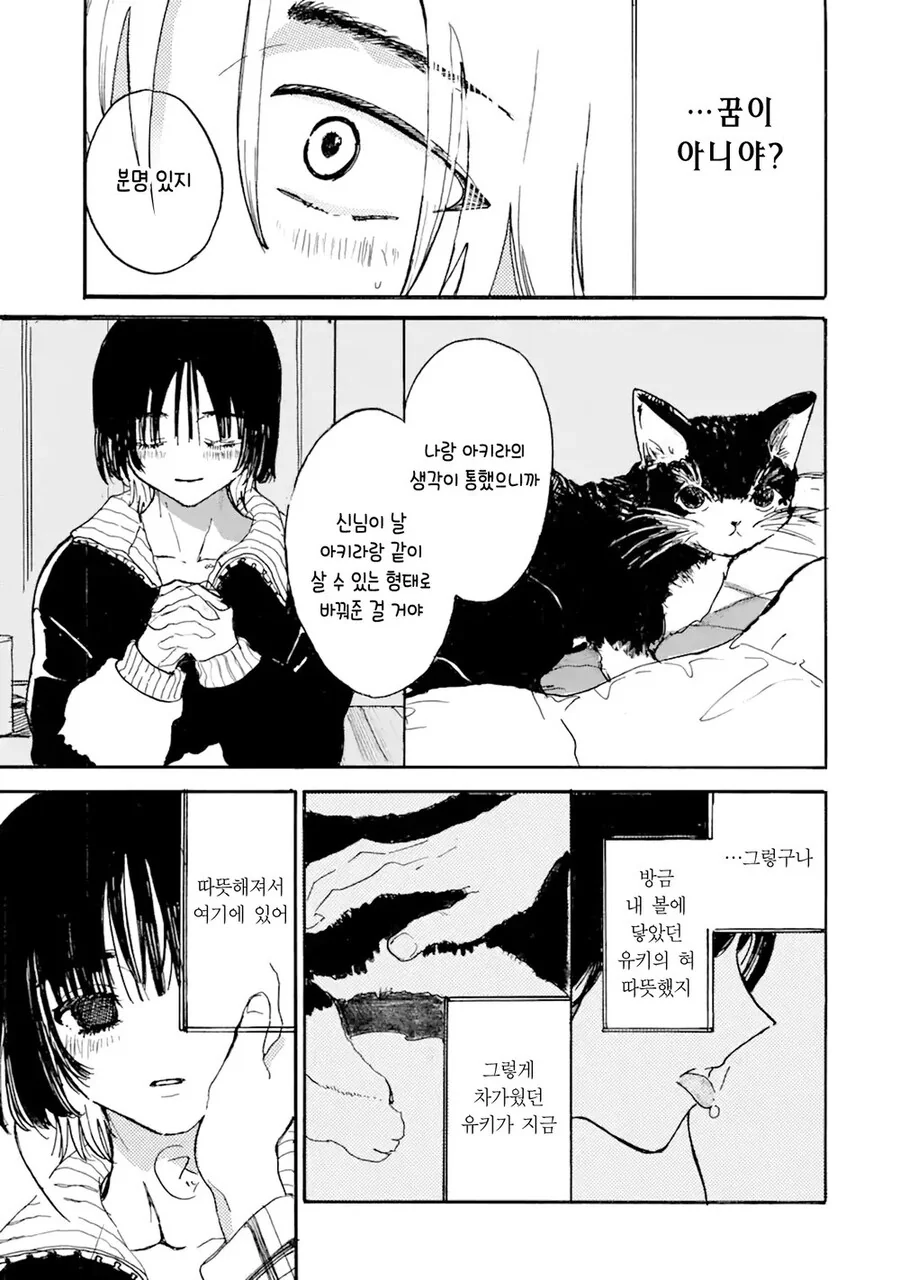 죽은 고양이가 인간이 되어 다시 돌아온.manga - 이미지 25