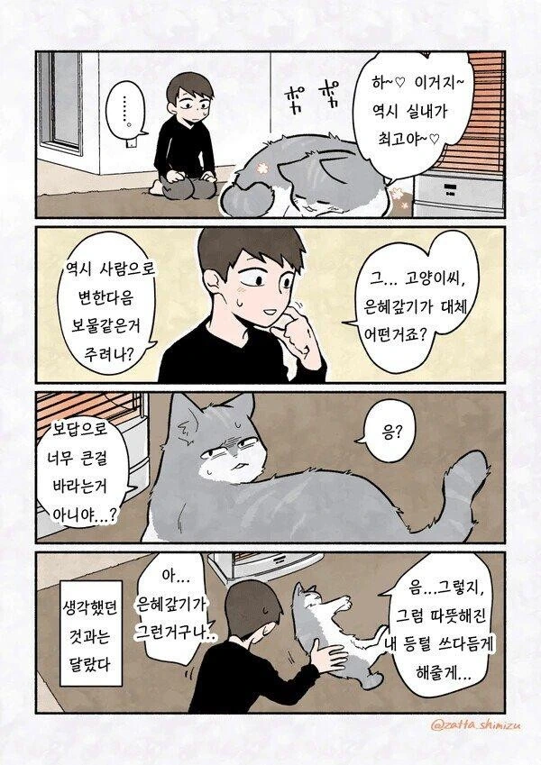 은혜갚는 고양이.manhwa - 이미지 2