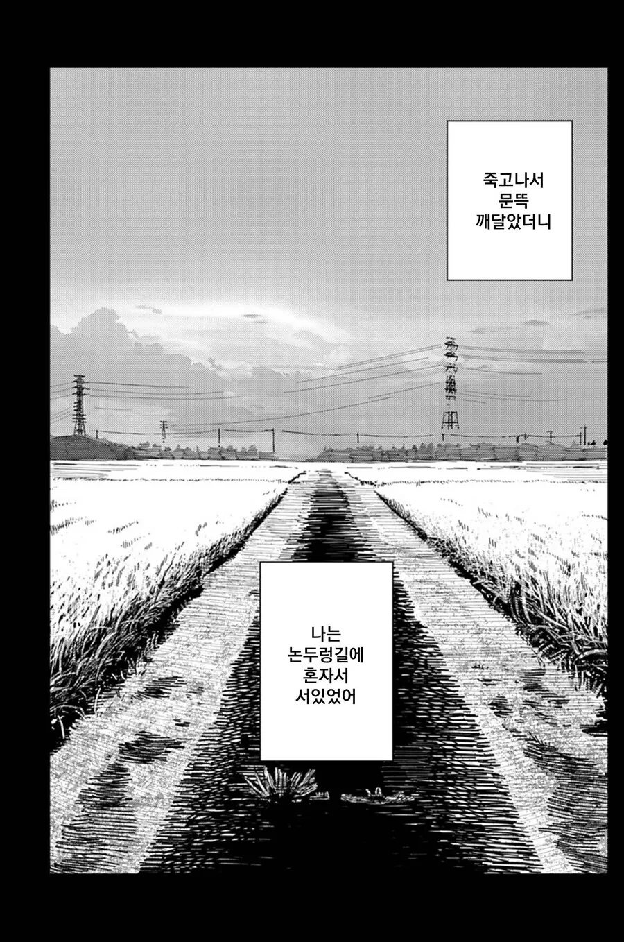 미술부의 카미무라가 죽었다.MANHWA(스압) - 이미지 23