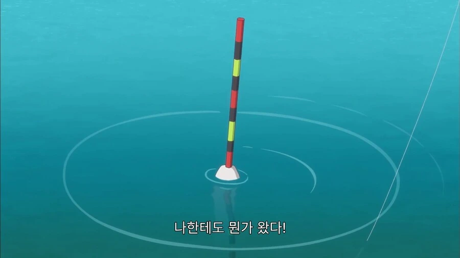 낚시꾼이 싫어하는 물고기