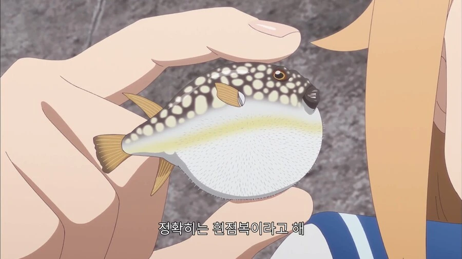 낚시꾼이 싫어하는 물고기 - 이미지 3