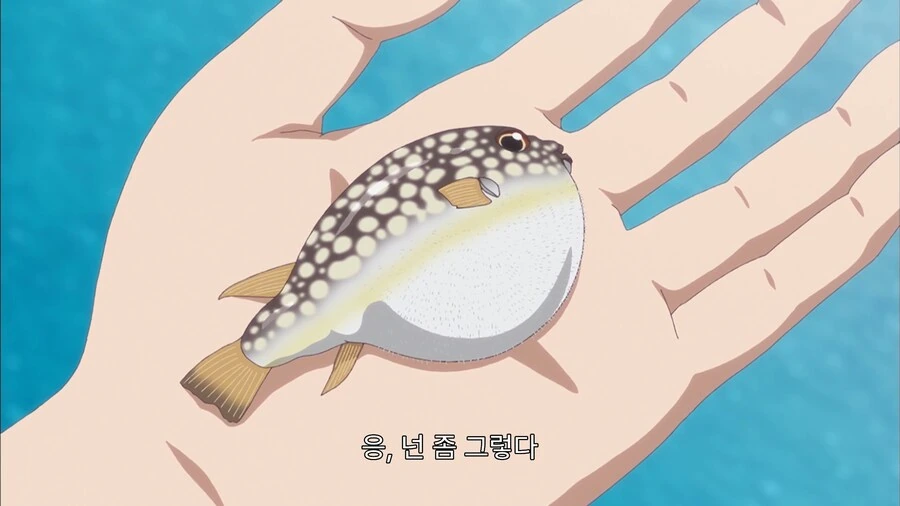 낚시꾼이 싫어하는 물고기 - 이미지 14