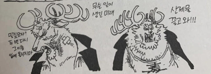 원피스)무슨 일 생긴 미래의 쵸파가 루피한테 빡친 이유.
